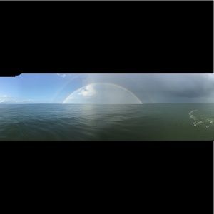 Meet your Posher, Gino